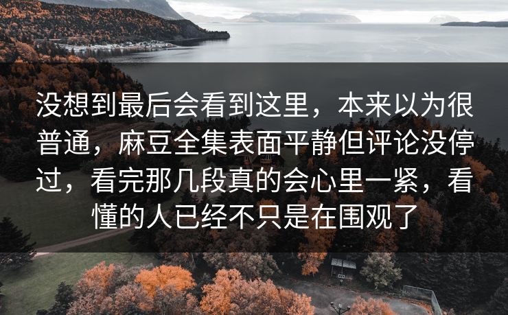 没想到最后会看到这里，本来以为很普通，麻豆全集表面平静但评论没停过，看完那几段真的会心里一紧，看懂的人已经不只是在围观了  第1张