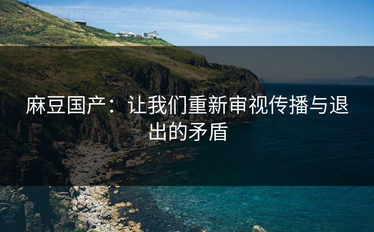 麻豆国产：让我们重新审视传播与退出的矛盾  第1张